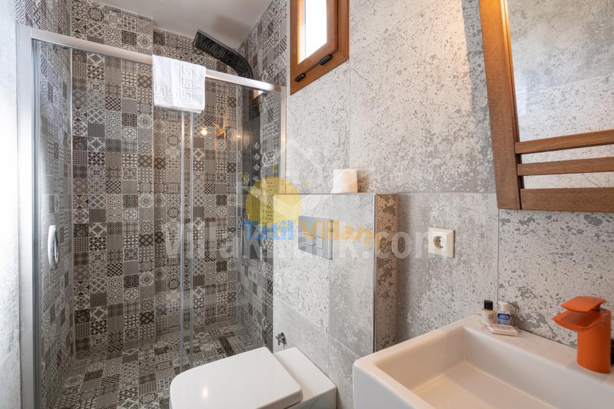 Villa Vintage 2+1 Delux