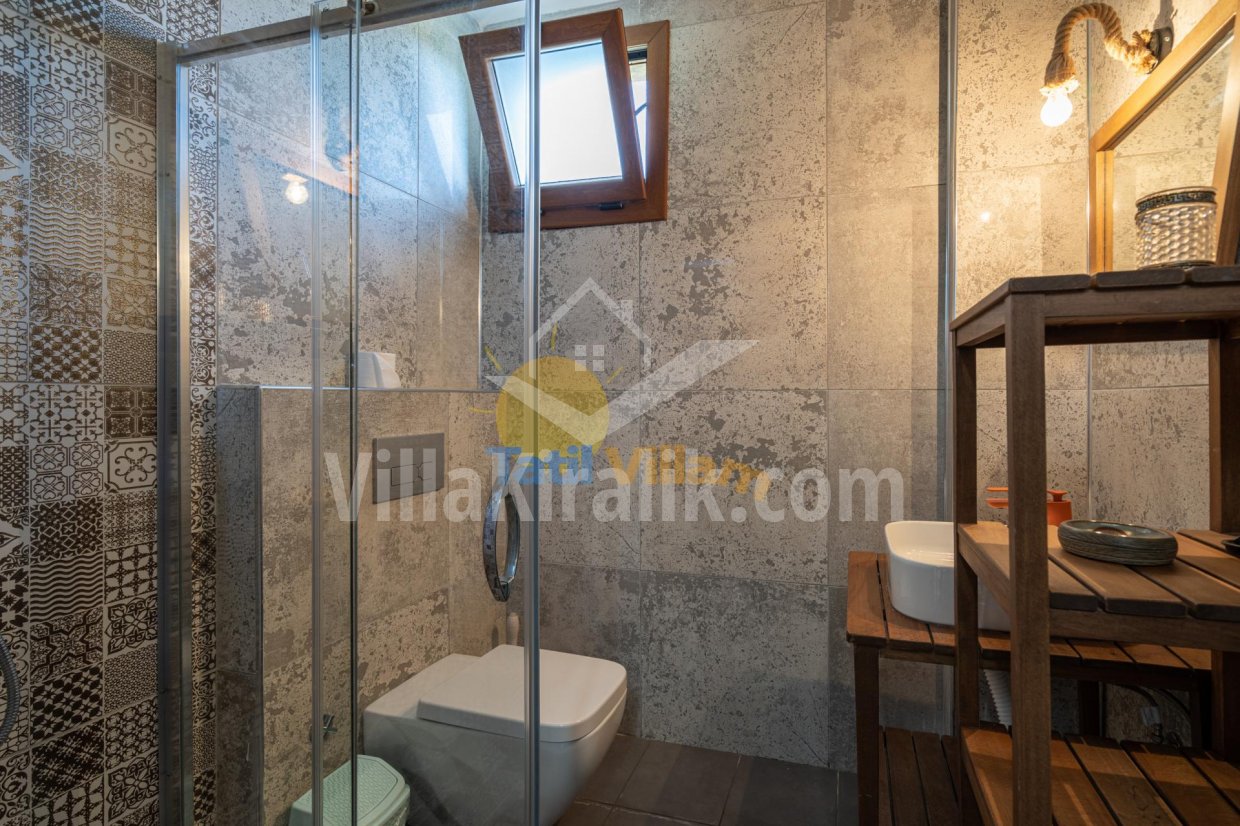 Villa Vintage 2+1 Delux